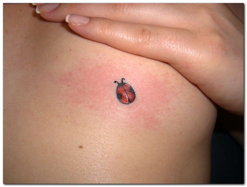 Ladybug Tattoos