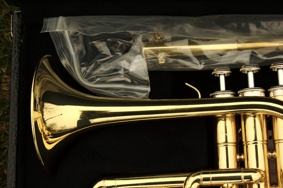 Northwest Musical Instrument Company String Bass, Altonium, Piccolo