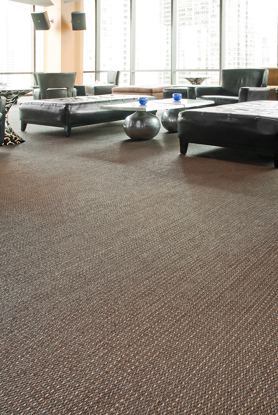 Dwellers Without Decorators An Area Rug that will change your life!