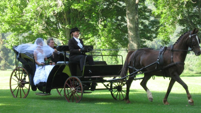 Wedding Carriage for hire!