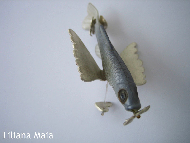 [peixevoador.3pg.jpg]