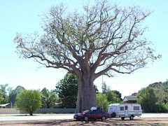 by the boab, KUNUNURRA,WA