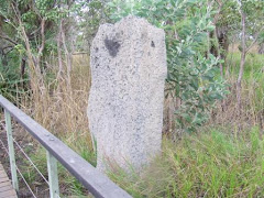 magnetic termite mound