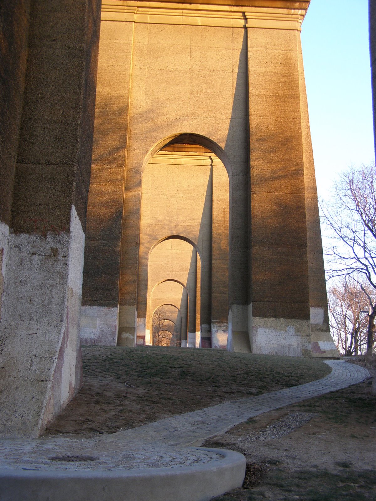 [P2110201.JPG]