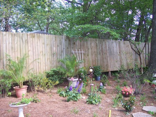 a corner of the backyard