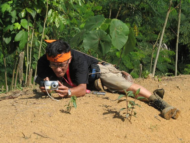 apapun hasilnya,..tetap action