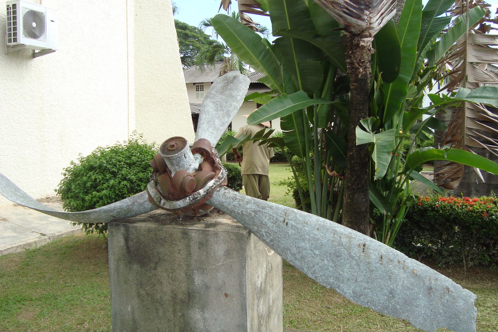 [DSC01005.JPG]