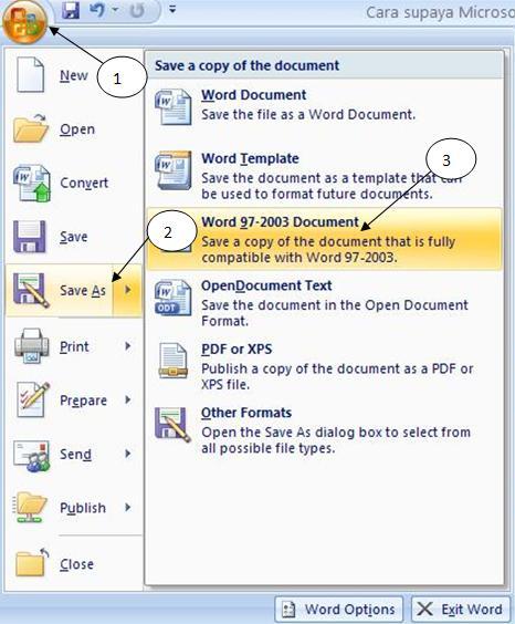 Can You Save A Powerpoint 2003 As A Pdf