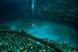 sungai di bawah laut