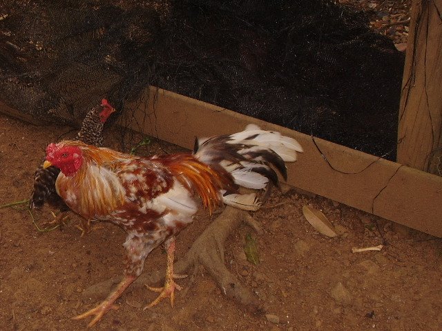 [PC150006.JPG]
