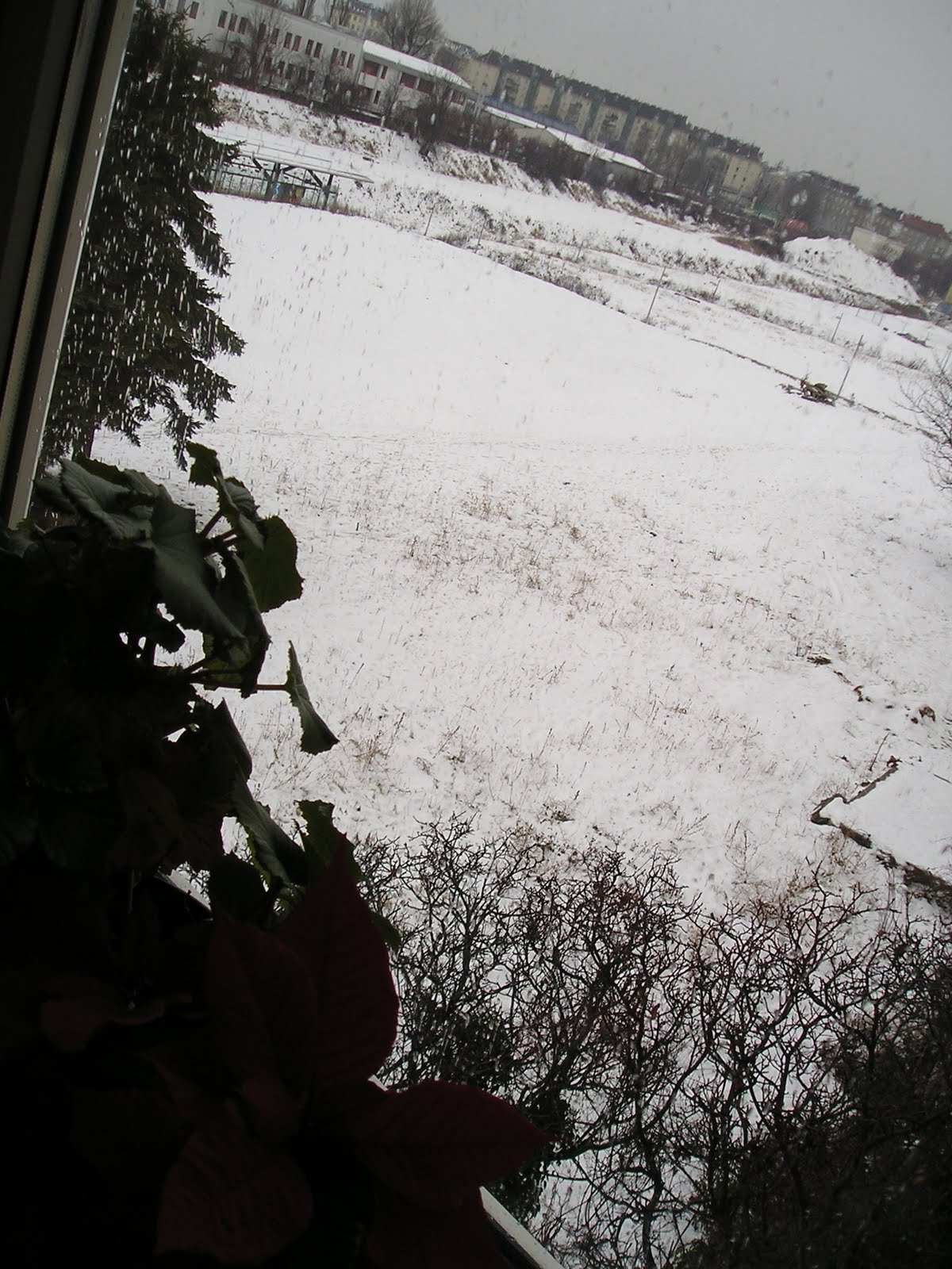 [P1010003.JPG]