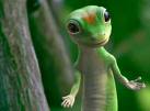 [gecko.jpg]