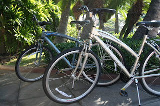 schwinn broadway bike