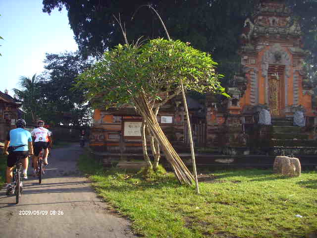 [LPIC2385.JPG]