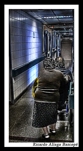 [Adultos.Blog..jpg]
