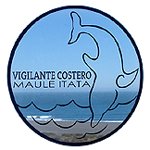 VIGILANTE COSTERO MAULE ITATA