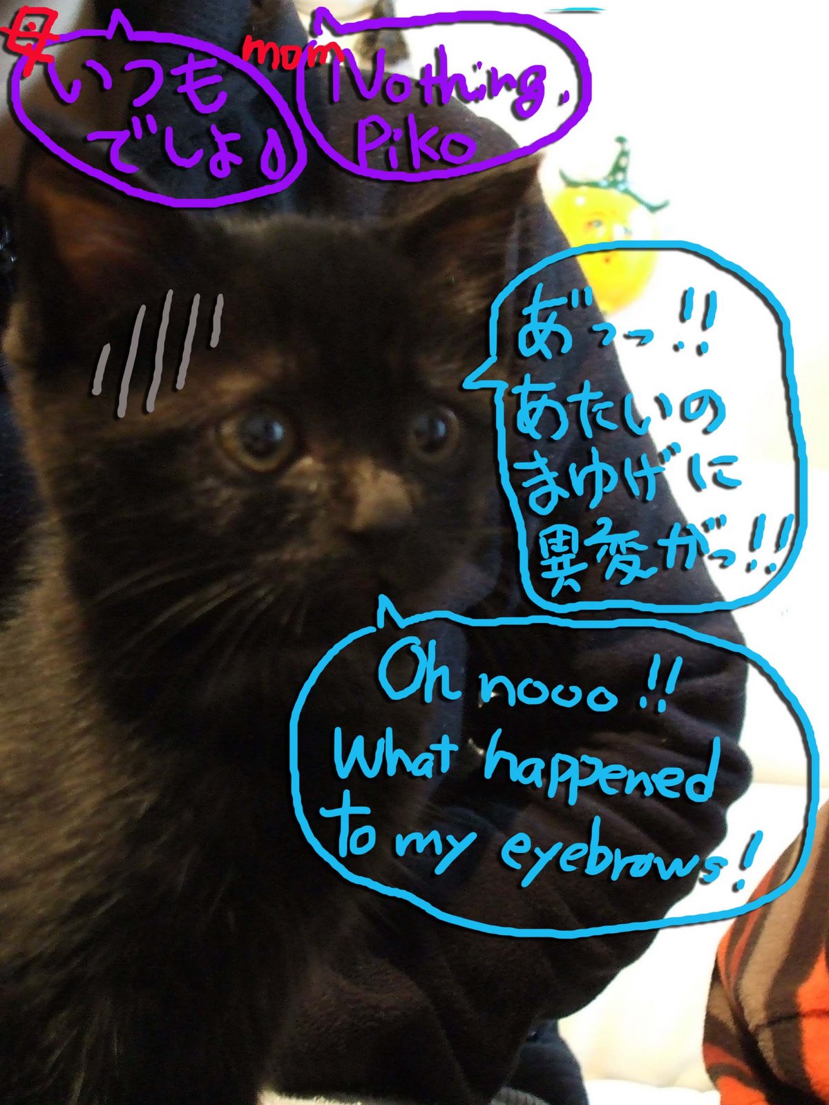 [mayu4.jpg]