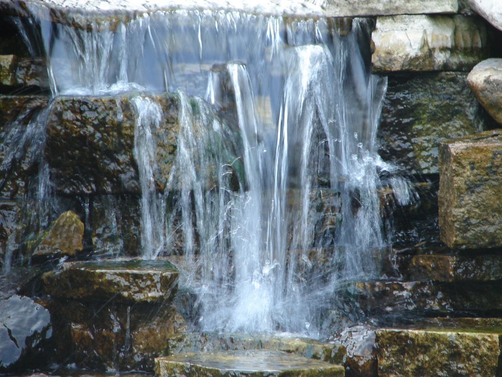 [DSC00848.JPG]