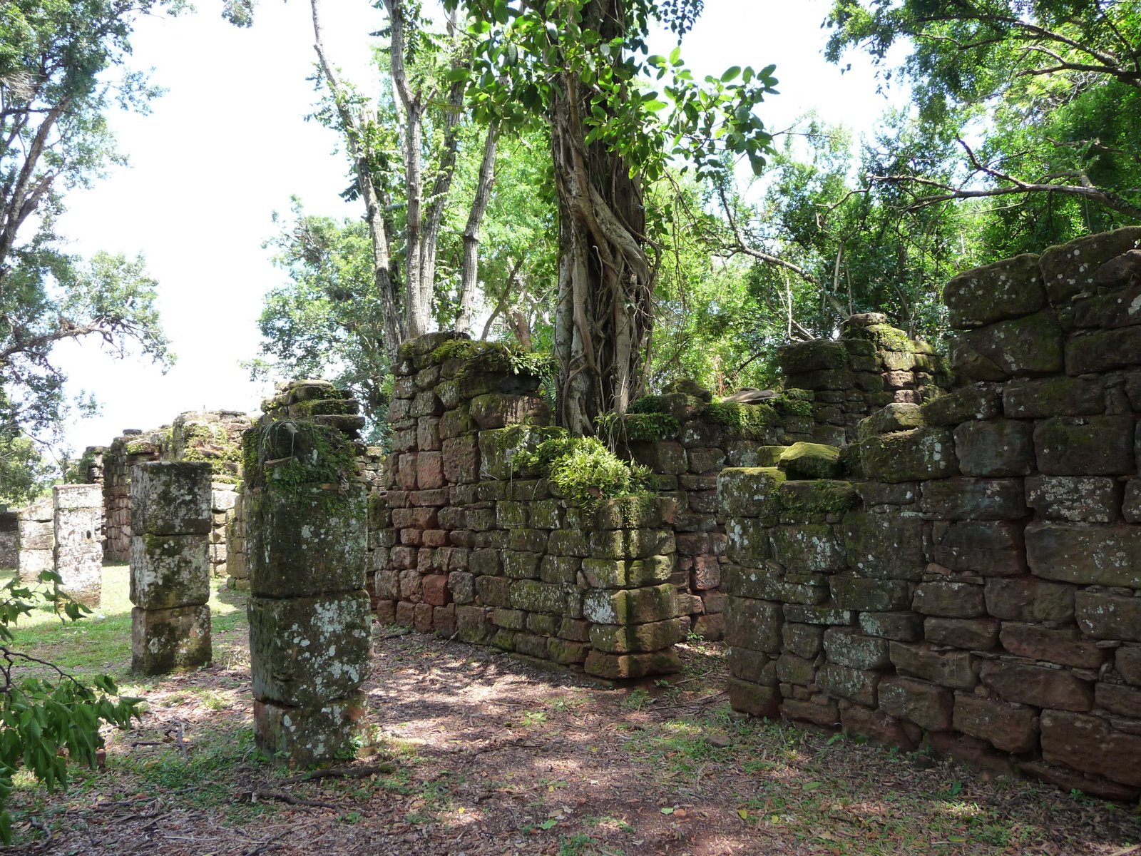 [P1040354.JPG]