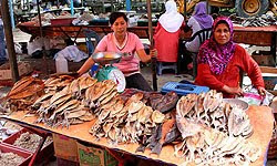 Kota Belud Tamu