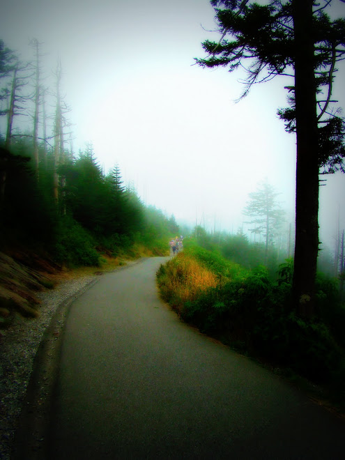 Walking trail to Clingmans Dome