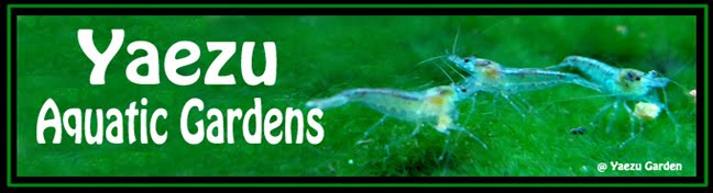 Yaezu Aquatic Gardens
