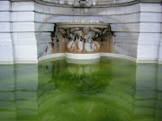 Holy Water in Paris