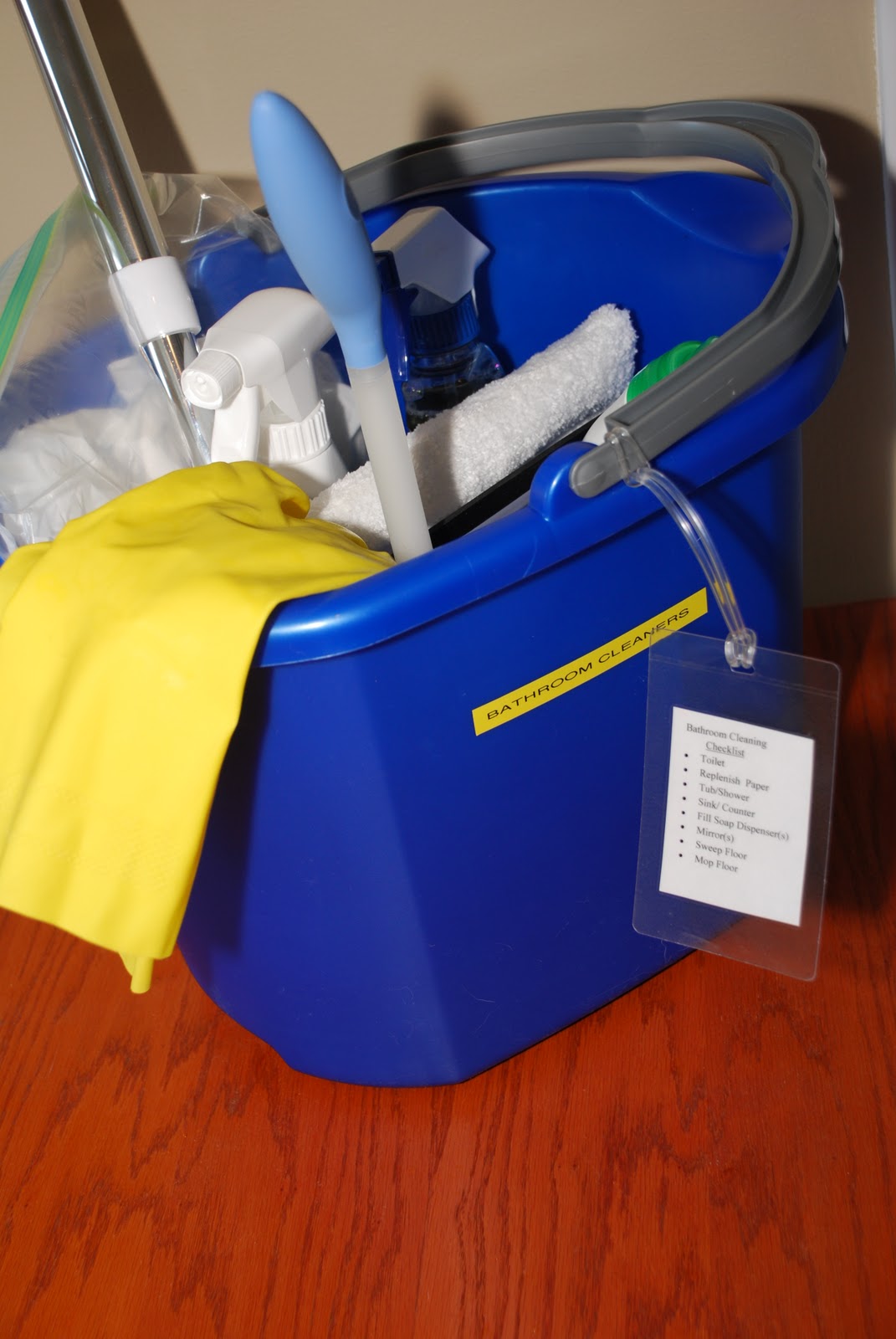 A Quest for a Balanced Life Bathroom Cleaning Organized Bucket