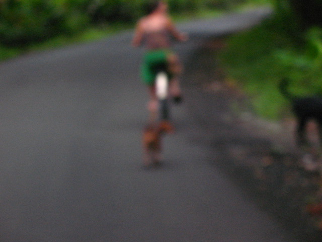[IMG_2556.JPG]