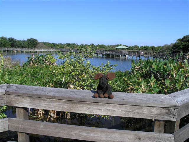 How You Can mitigation Almost Instantly