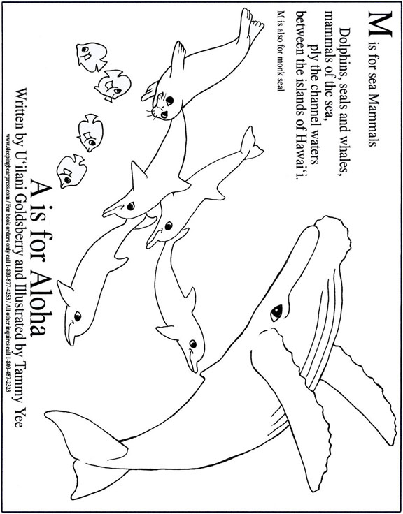 Origami n' Stuff 4 Kids: Coloring