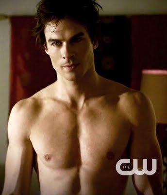 vampire diaries damon and stefan. I like Damon more than Stefan.
