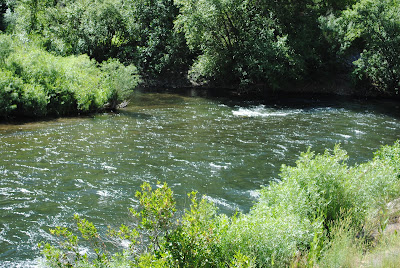 river provo fishing good fish sized lower woody hole produced very some
