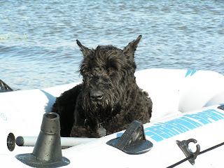 Can januvia be cut in half i break