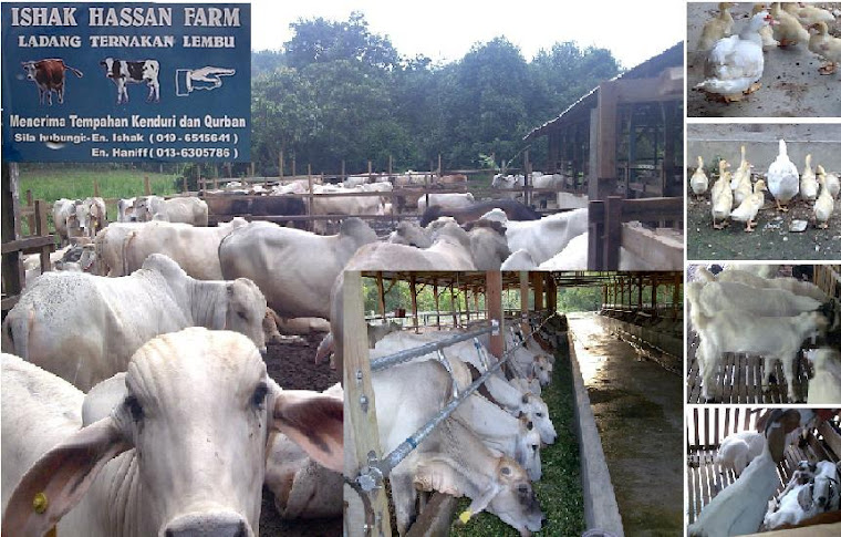 Kertas Kerja Penternakan Lembu