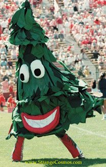 [stanford_tree.jpg]