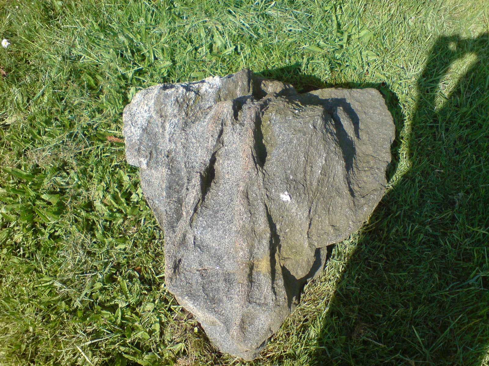 [DSC02177.JPG]