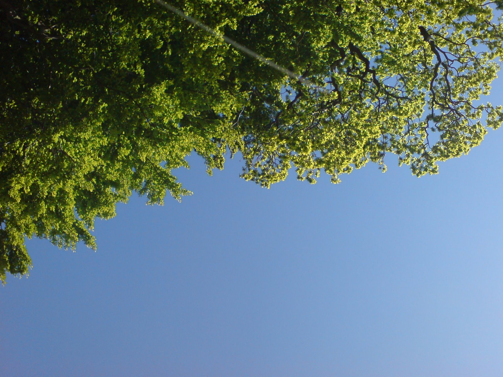 [DSC02253.JPG]