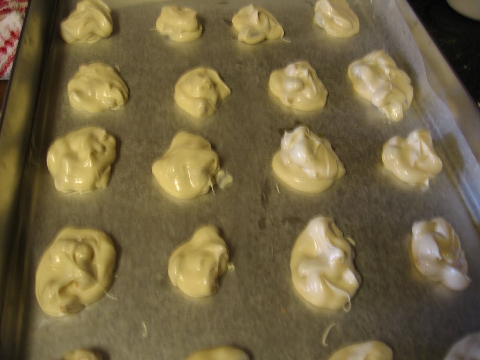 [Blopgspot..2.12.10+006.JPG]