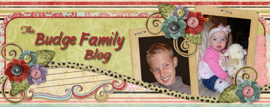 The Budge Family
