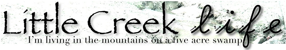 Little Creek Life