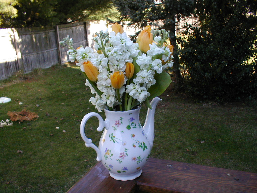 [P3280125.JPG]
