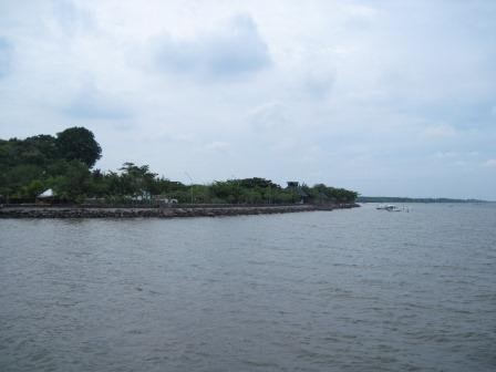 Hiu Tutul Berkeliaran di Pantai Bentar - Berlibur Yuk