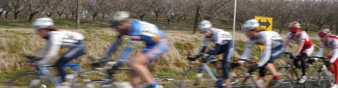 Tifosi Marin - Road, Mountain and Cyclocross