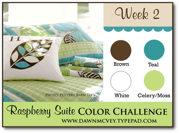 [RaspberrySuiteColorChallenge2]