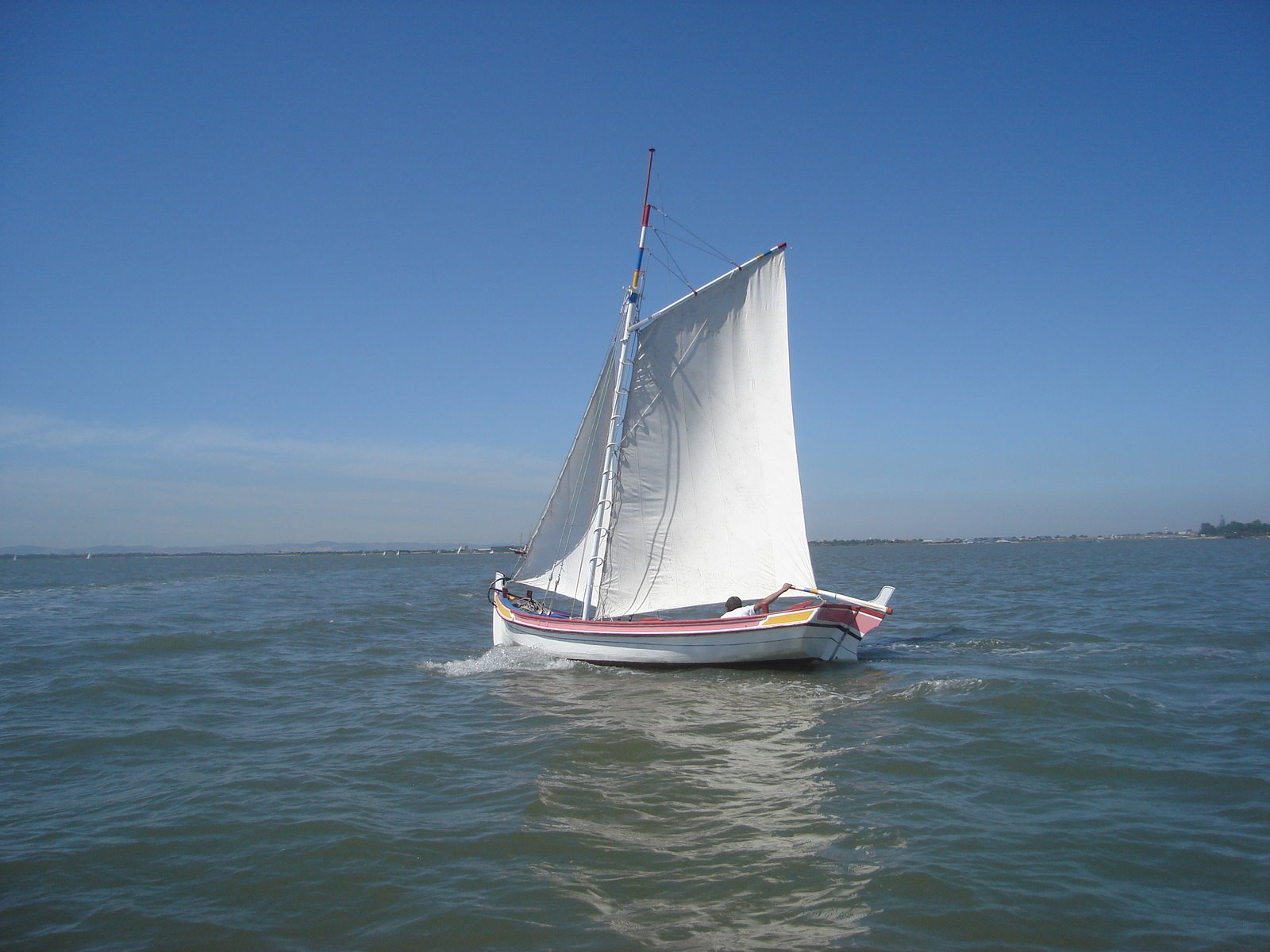 [DSC01485.JPG]