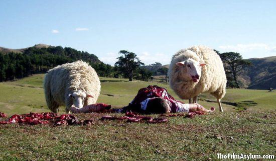 [black-sheep.jpg]
