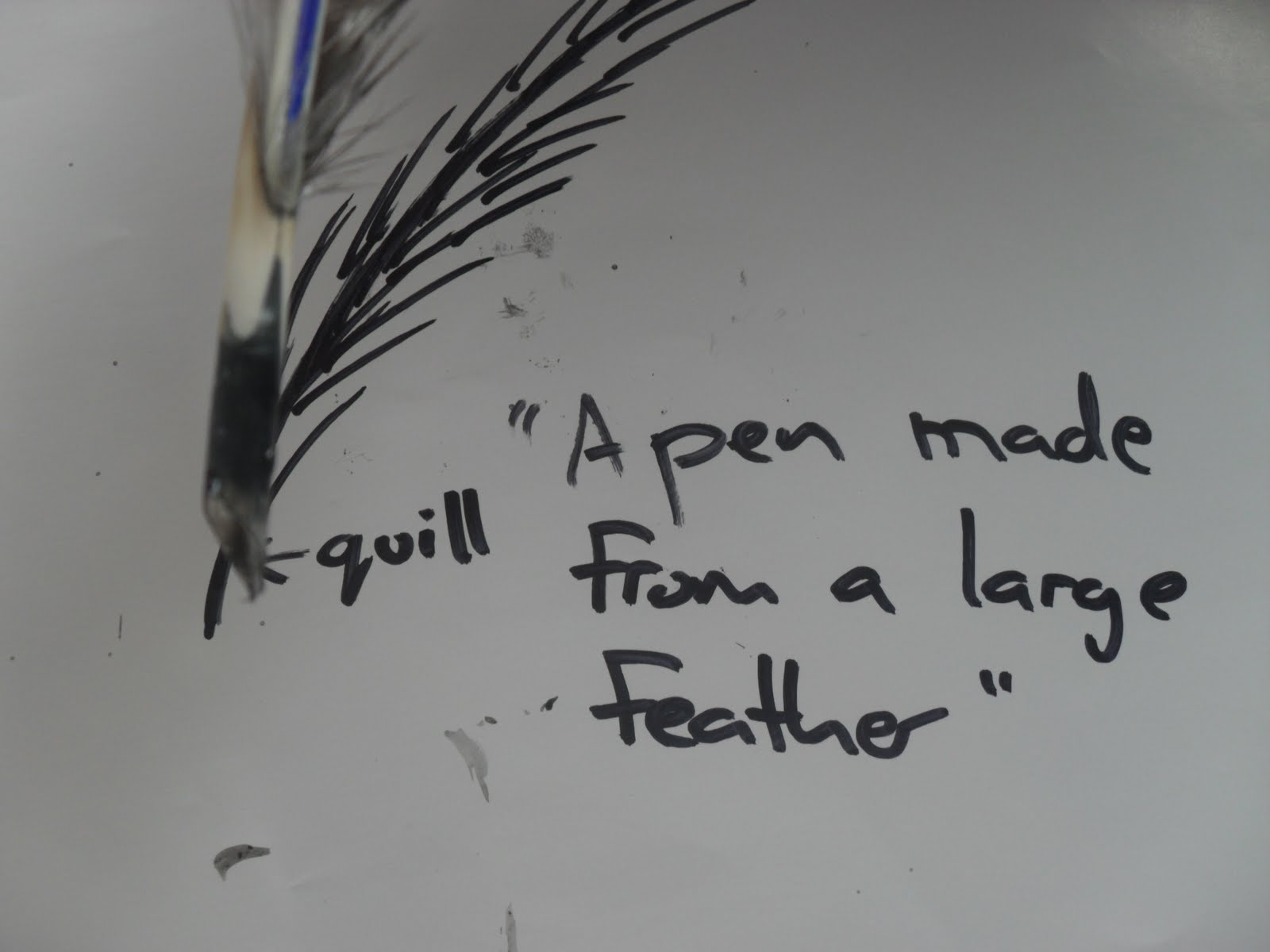 Bailey Road Team 17 How To Make A Quill Pen