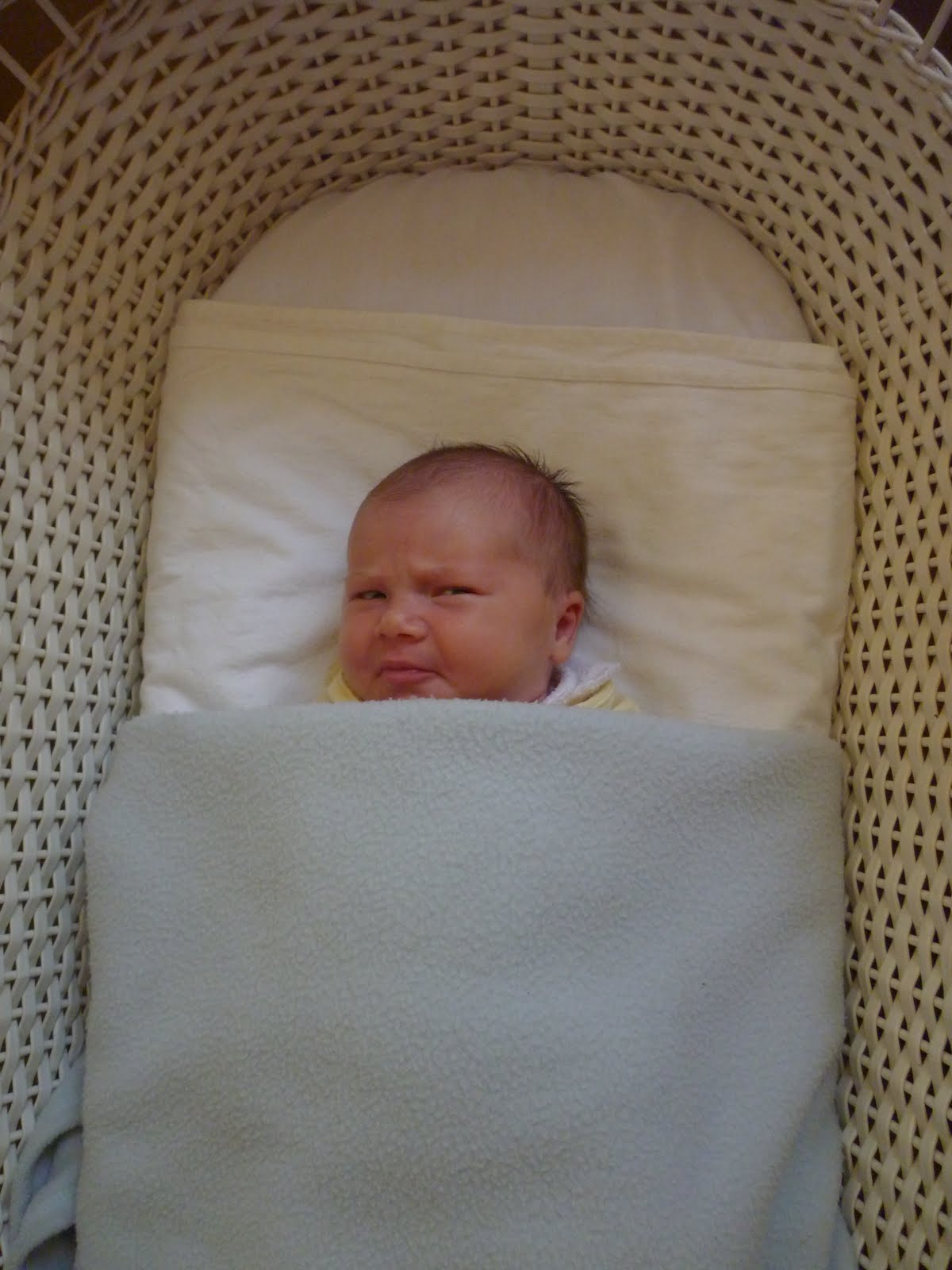 [P1000566.JPG]