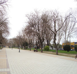 Alameda Talca.-